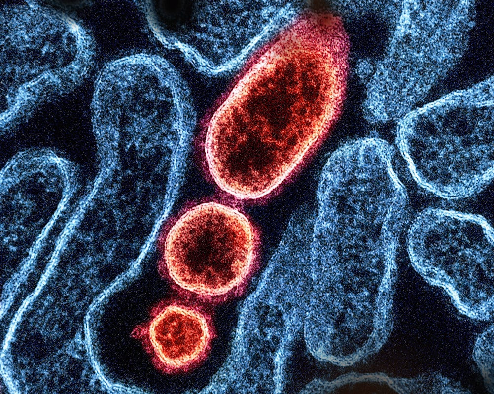 Representación de microbiota intestinal