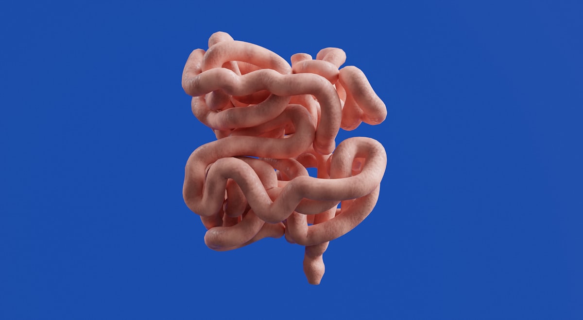 Guía nutricional para microbiota saludable